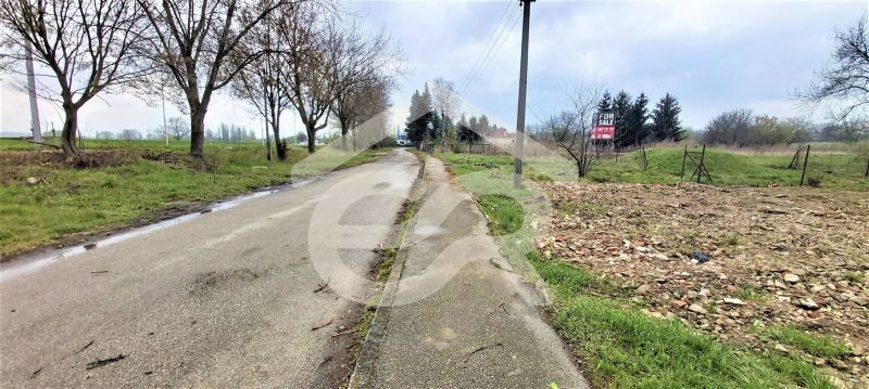 listing_43641655449342.jpg