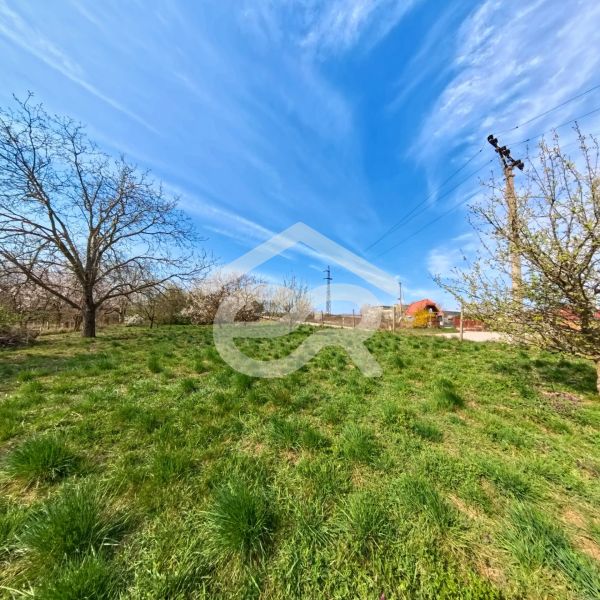 462ef9bc-ebbc-4bb7-ab76-a827e3434b8c.jpg