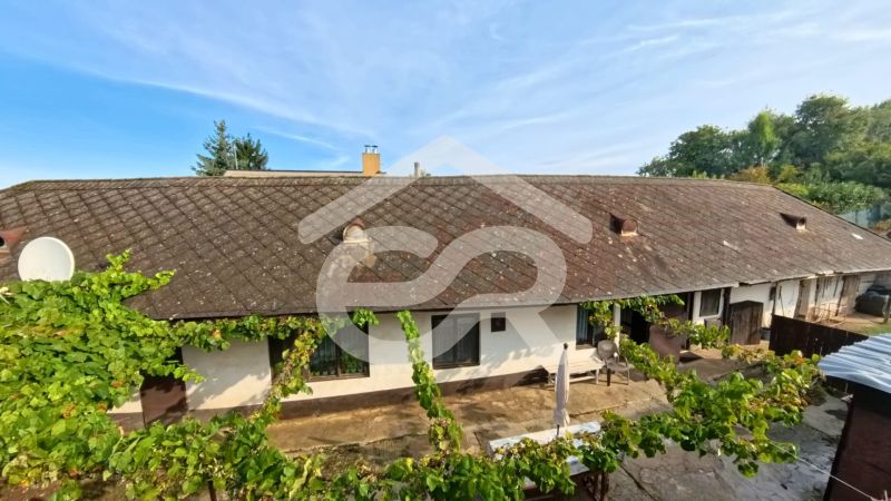 995a2447-5474-46a3-8cb3-2375bd390214.jpeg