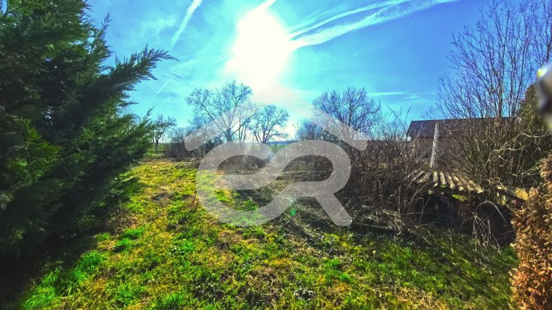 476bb436-7e73-4a83-8dea-f1425c6f25c4.jpg