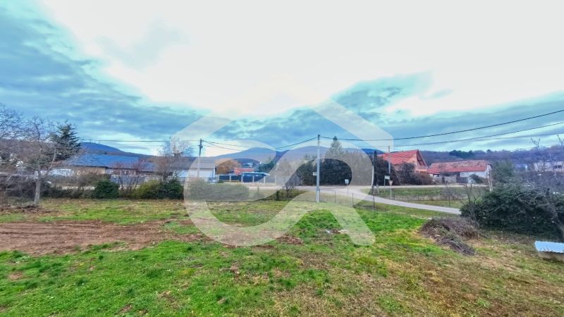 ebd666c2-f8ed-4885-8df1-2d31998c8d66.jpeg