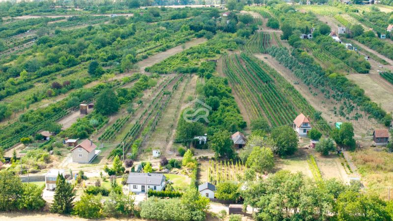 DJI_20260817003059_0374_D.jpg